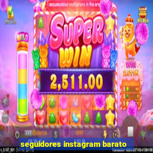 seguidores instagram barato