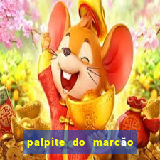 palpite do marcão jogo do bicho