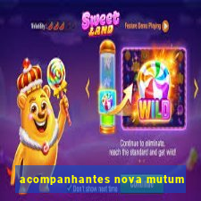 acompanhantes nova mutum