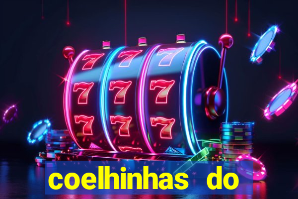 coelhinhas do brasil site
