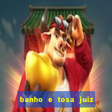 banho e tosa juiz de fora