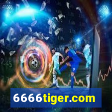 6666tiger.com