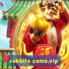rabbits cams.vip