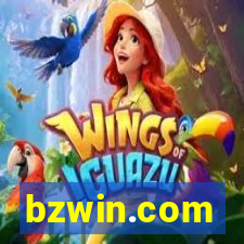 bzwin.com