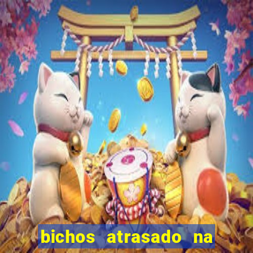 bichos atrasado na loteria dos sonhos